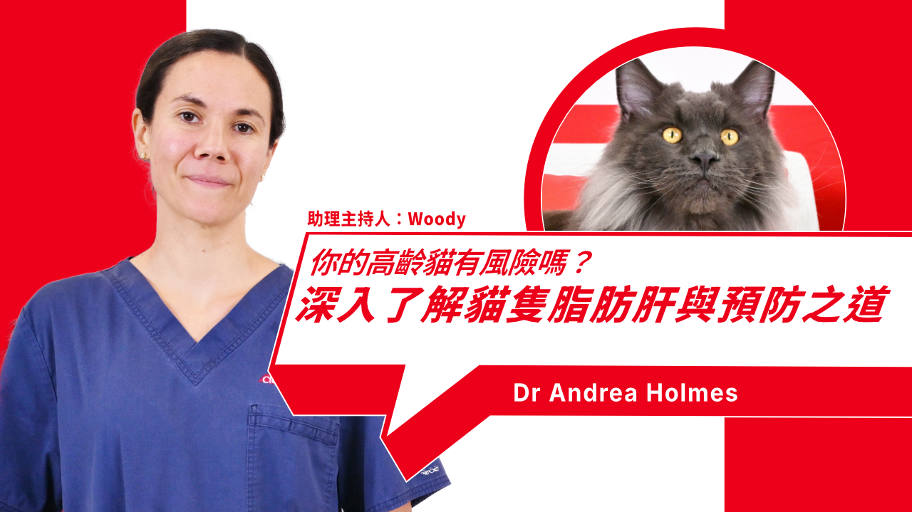 Causes, Symptoms, Treatment, and Prevention of Fatal Fatty Liver Disease in Cats